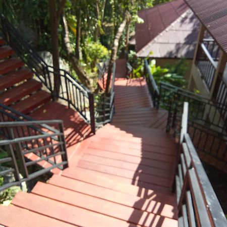 Pawpaw Resort Lamai Beach  Dış mekan fotoğraf